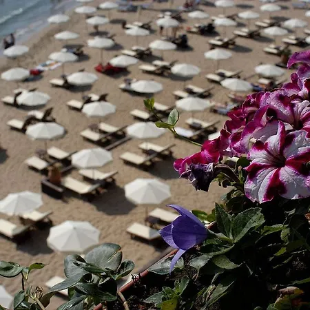 Oasis Vip Club Apartment Sunny Beach