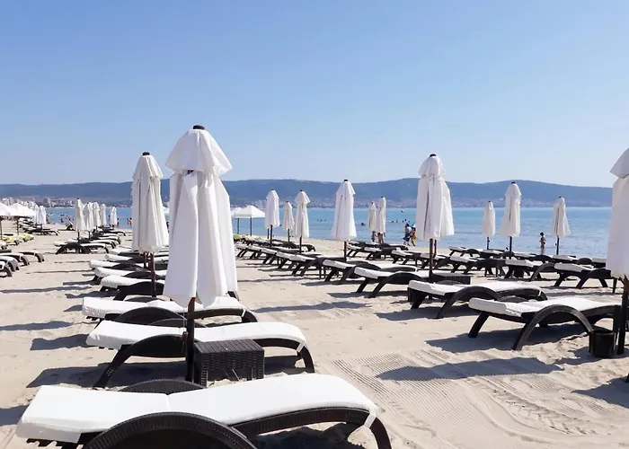 Oasis Vip Club Napospart